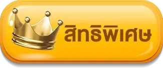 สิทธิพิเศษ tmb 666